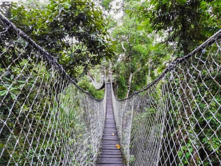 tambopata-multi-day-amazon-rainforest-tour-with-local-guide