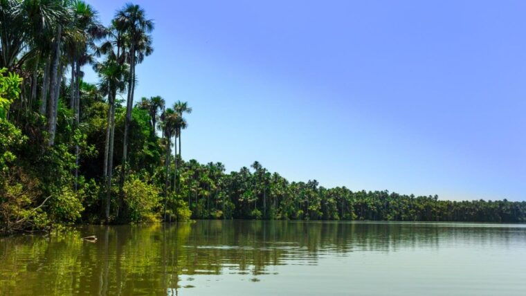 tambopata-multi-day-amazon-rainforest-tour-with-local-guide