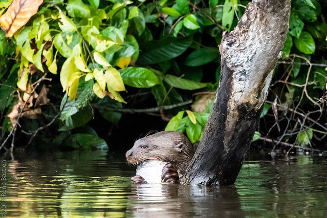 tambopata-national-reserve-tour-3-days