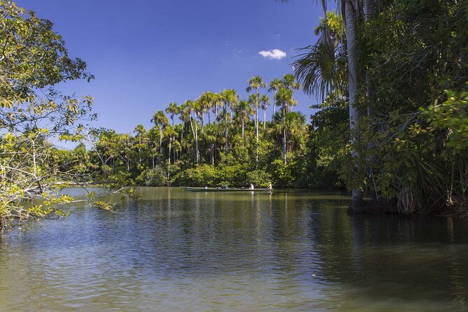 tambopata-national-reserve-tour-3-days