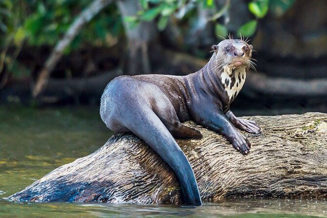 tambopata-national-reserve-tour-3-days