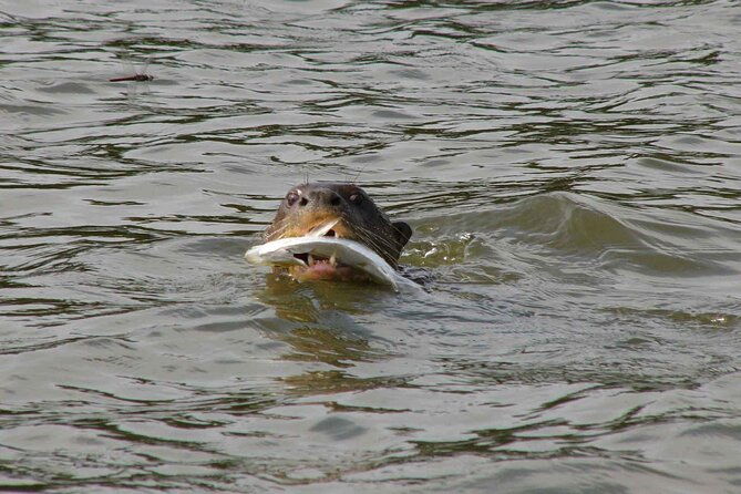 tambopata-national-reserve-tour-4-days-from-cusco
