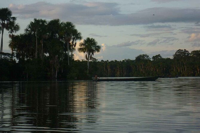 tambopata-national-reserve-tour-4-days-from-cusco