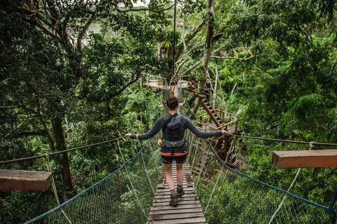 tambopata-national-reserve-tour-4-days-from-cusco