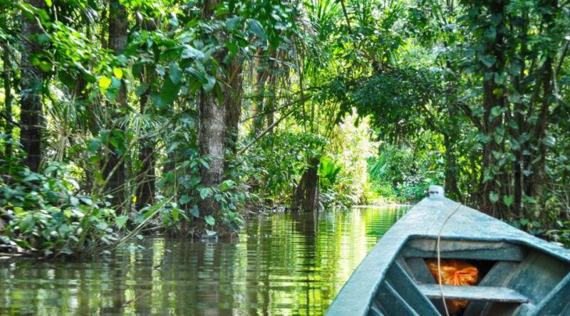 tambopata-peruvian-amazon-jungle-for-three-days-two-nights