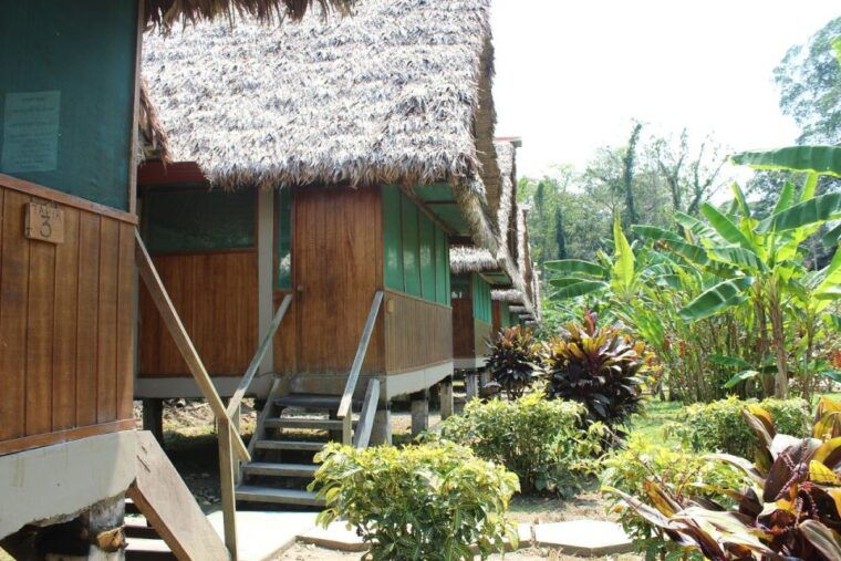 tambopata-peruvian-amazon-jungle-for-three-days-two-nights