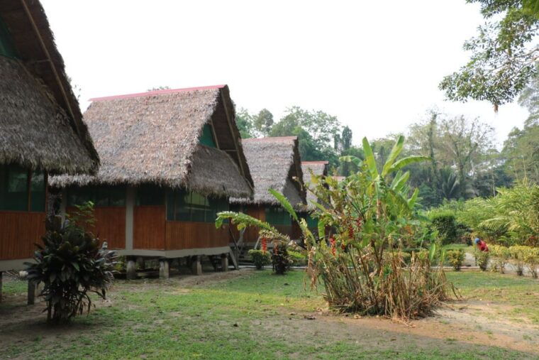 tambopata-peruvian-amazon-jungle-for-three-days-two-nights