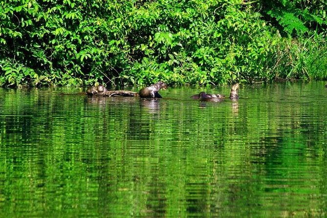 tambopata-puerto-maldonado-5-days