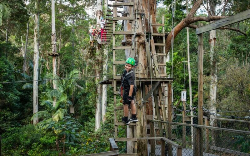 Tamborine Mountain: TreeTop Challenge Adrenaline Pass - Detailed Breakdown of the Itinerary