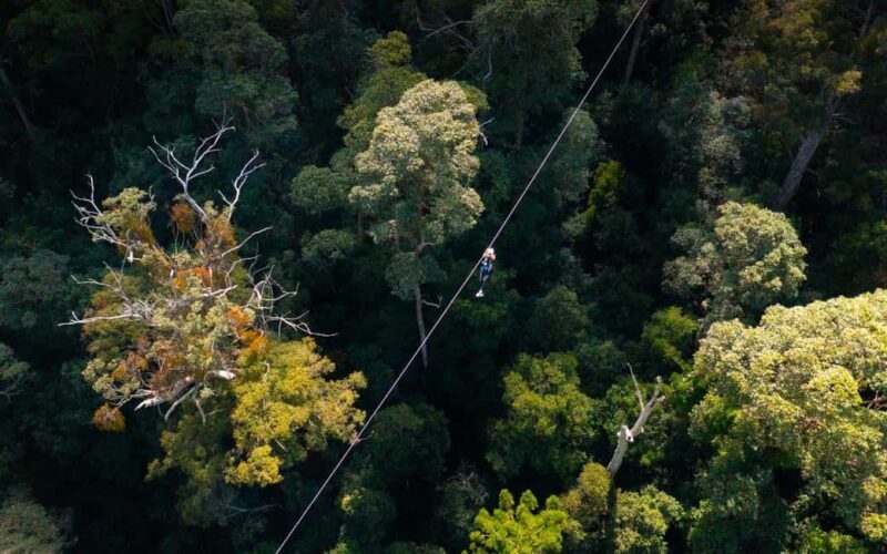Tamborine Mountain: TreeTop Challenge Adrenaline Pass - Final Thoughts