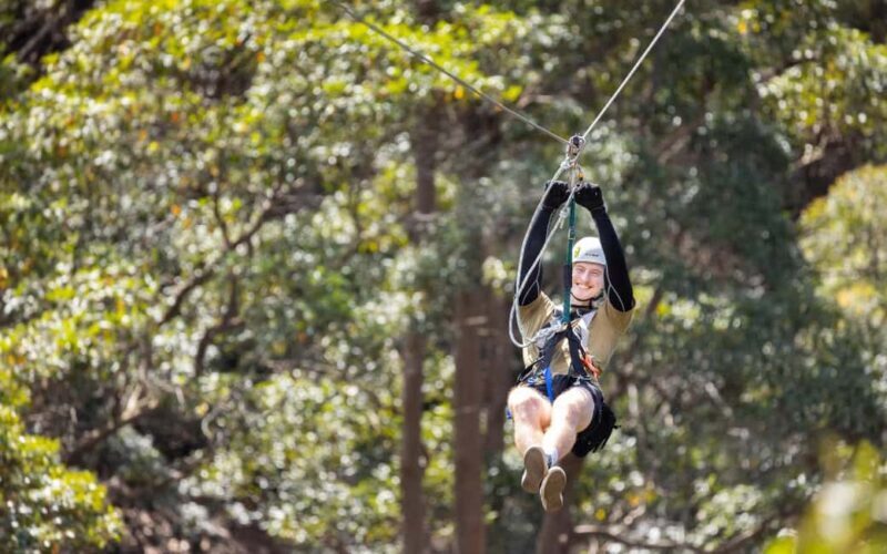 Tamborine Mountain: TreeTop Challenge Adrenaline Pass - Frequently Asked Questions