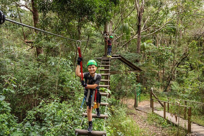 Tamborine Mountain TreeTop Challenge Adventure Park - What to Expect at Tamborine Mountain TreeTop Challenge