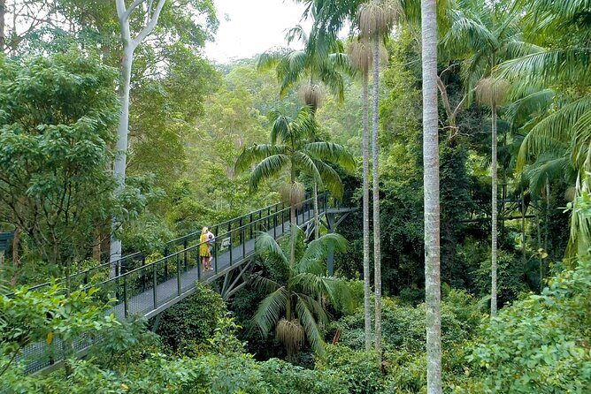 Tamborine Rainforest Skywalk + Hop on Hop off Bus - Food & Drink: Satisfying Your Taste Buds