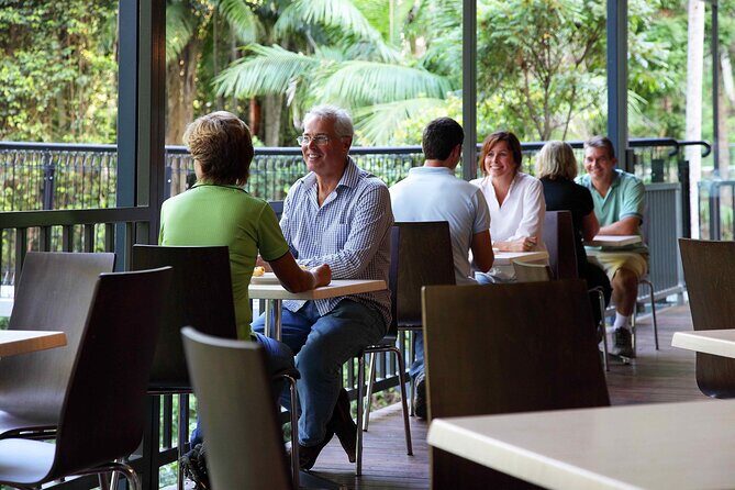 Tamborine Rainforest Skywalk + Hop on Hop off Bus - Final Thoughts: Is This Tour Worth It?