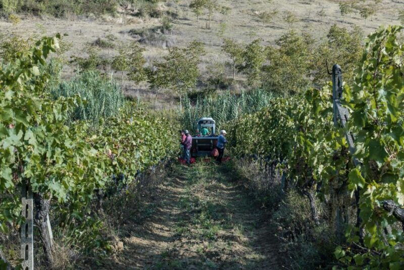 tamburini-wine-tour-and-tasting