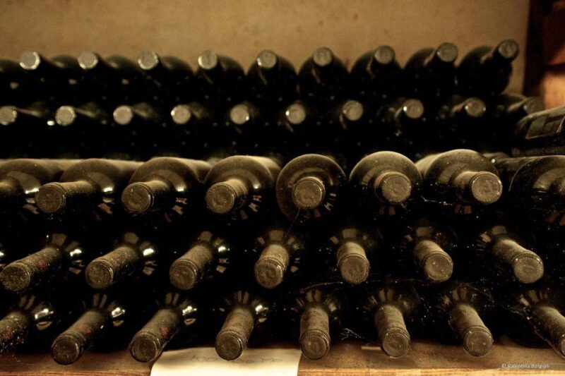 tamburini-wine-tour-and-tasting