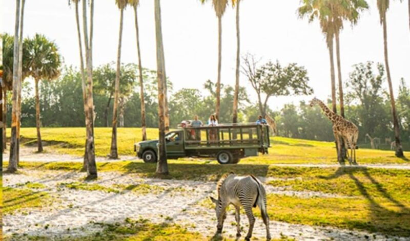 tampa-bay-serengeti-safari-tour