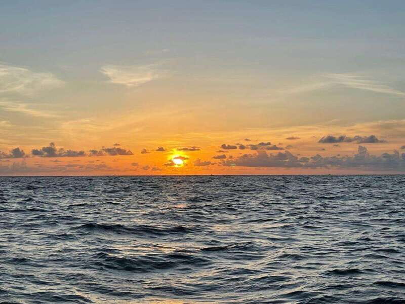 Tampa Bay: Sunset Cruise with Celebrity Homes and Wildlife - An In-Depth Look at the Tampa Bay Sunset Cruise