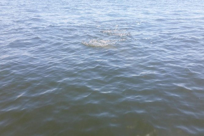 tampa-celebrity-homes-boat-tour