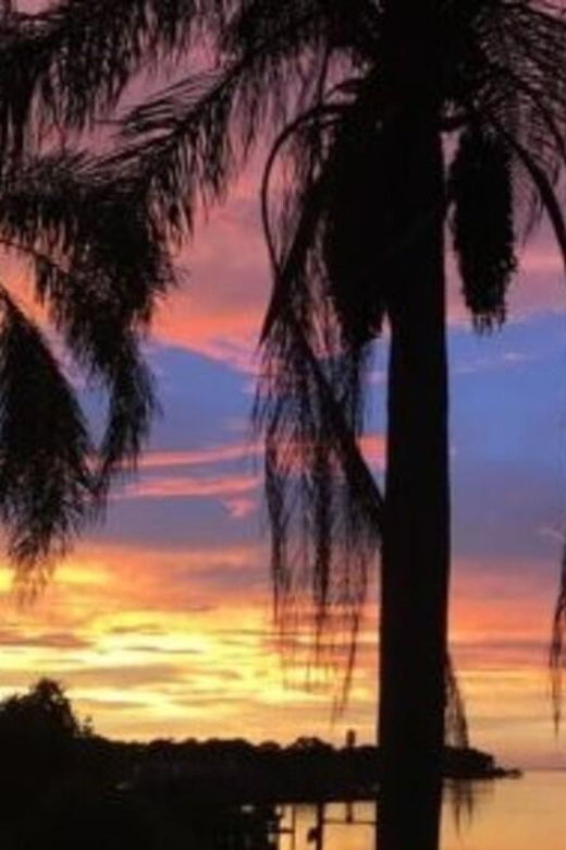 tampa-hillsborough-river-evening-boat-tour-up-to-13-people