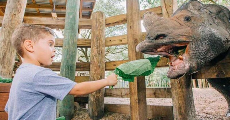 Tampa: ZooTampa at Lowry Park Entry Ticket - Who Will Love This Experience?