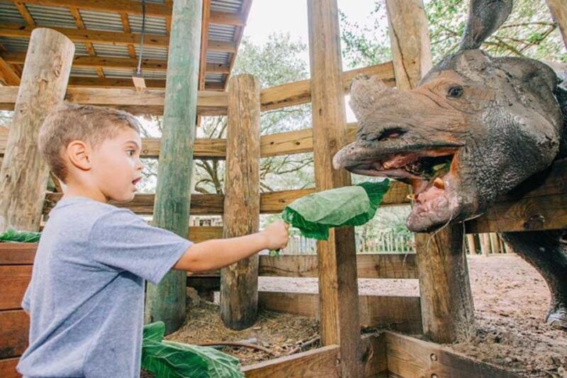 tampa-zootampa-at-lowry-park-entry-ticket