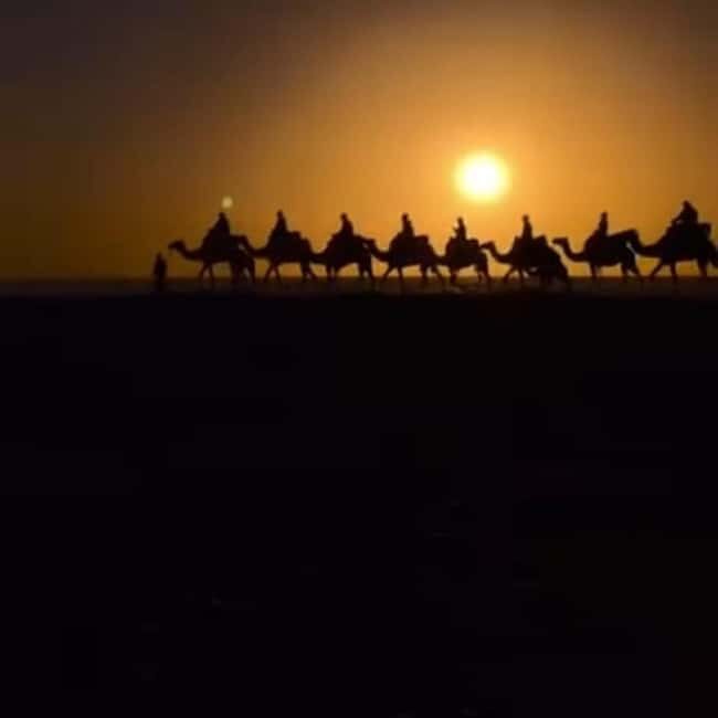 Tamri: Quad Biking, Camel Ride, and Dinner Show - What to Expect on the Tamri Tour