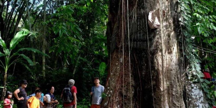 tana-toraja-exploring-the-enchanting-heritage-of-toraja