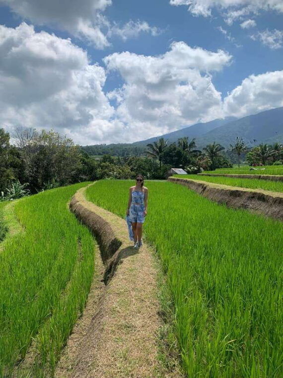 tanah-lot-and-north-bali-private-full-half-day-tour