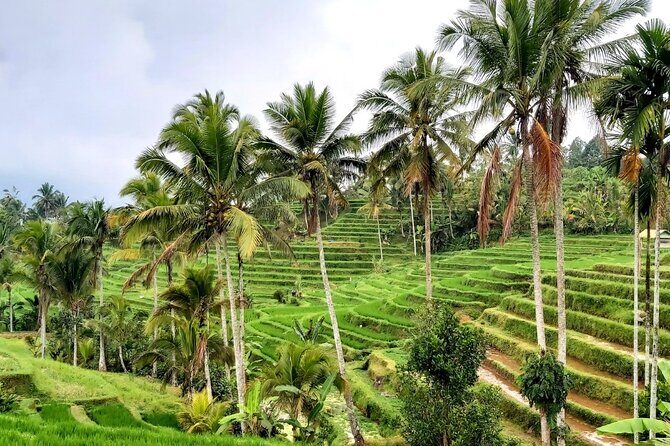 Tanah Lot and North Bali Private Tour - All inclusive - Frequently Asked Questions (FAQ)