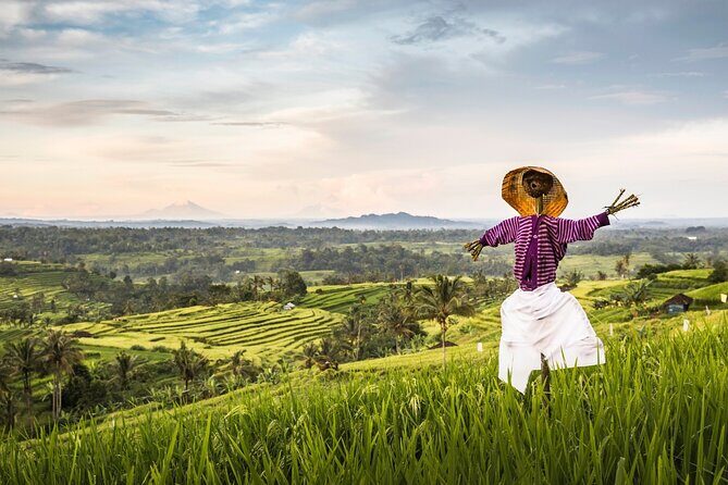 Tanah Lot, Jatiluwih Rice Terrace and Waterfall Day Tour - Frequently Asked Questions