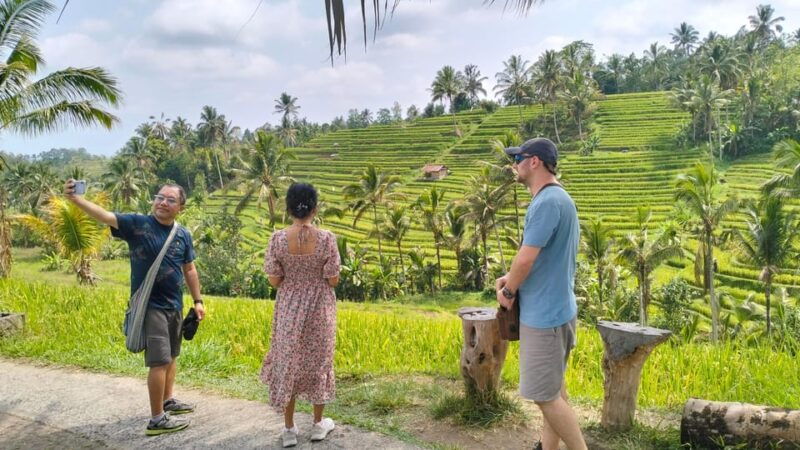 tanah-lot-jatiluwih-ulun-danu-beratan-fullday-private-tour