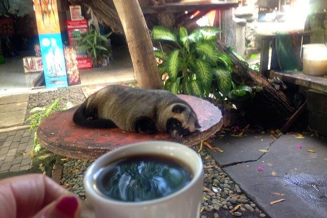 Tanah Lot Temple Canggu Rice Field eBike Private Tour - FAQ