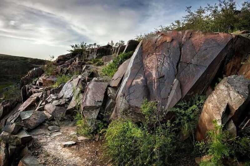 Tanbaly Gorge: Ancient Petroglyphs UNESCO Site Day Tour - Key Points  