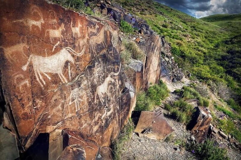 Tanbaly Gorge: Ancient Petroglyphs UNESCO Site Day Tour - Authentic Experiences Highlighted by Travelers