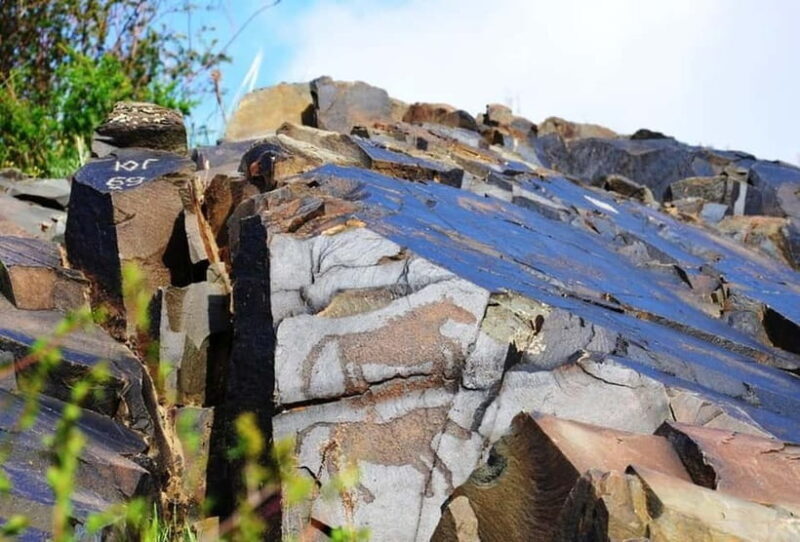 Tanbaly Gorge: Ancient Petroglyphs UNESCO Site Day Tour - Who Will Love This Tour?
