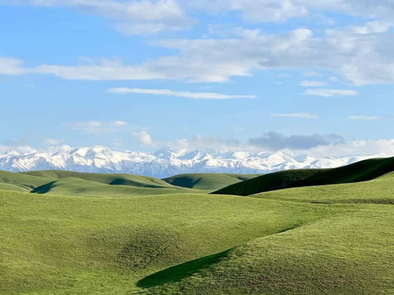 Tanbaly Gorge: Ancient Petroglyphs UNESCO Site Day Tour - The Sum Up