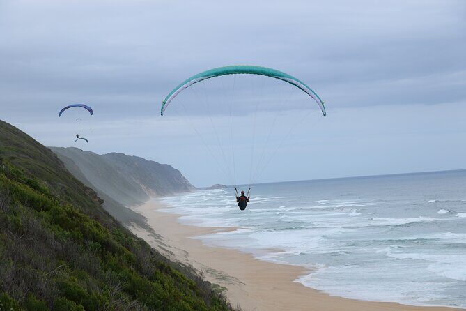 Tandem Paragliding Wilderness South Africa - What to Expect from Your Paragliding Adventure  
