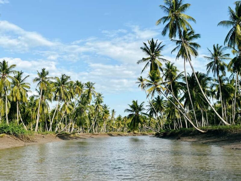 Tanga: Amani Nature Reserve, Amboni Caves, and Pangani - Key Points