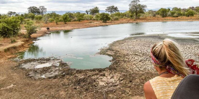 tangalle-hiriketiya-udawalawa-safari-elephant-transit-hom-2