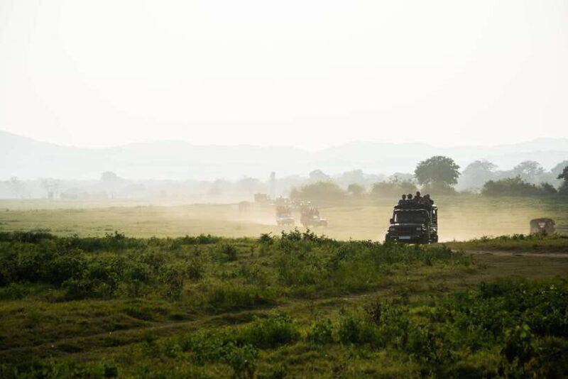 tangalle-hiriketiya-yala-national-park-safari-in-a-4x4