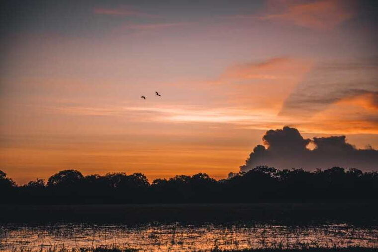 tangalle-hiriketiya-yala-national-park-safari-in-a-4x4