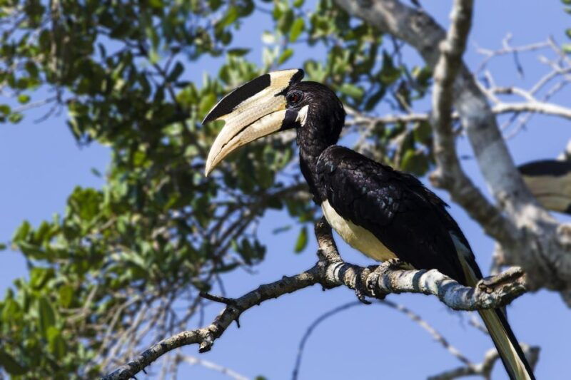 tangalle-safari-day-trip-to-yala-udawalawe-w-picnic