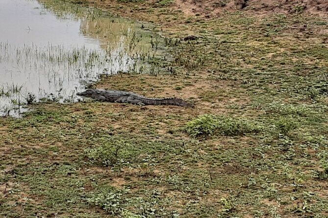 Tangalle to Katunayaka Air Port - An Honest Look at the Transfer Service from Tangalle to Katunayake Airport