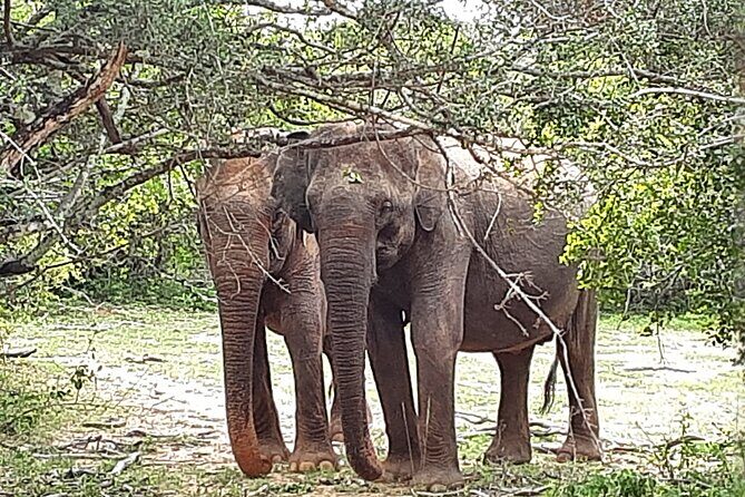 Tangalle to Katunayaka Air Port - FAQ