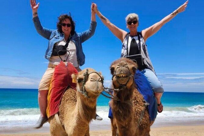 Tanger private tour cruise ship -up Luxury City Tour - Key Points