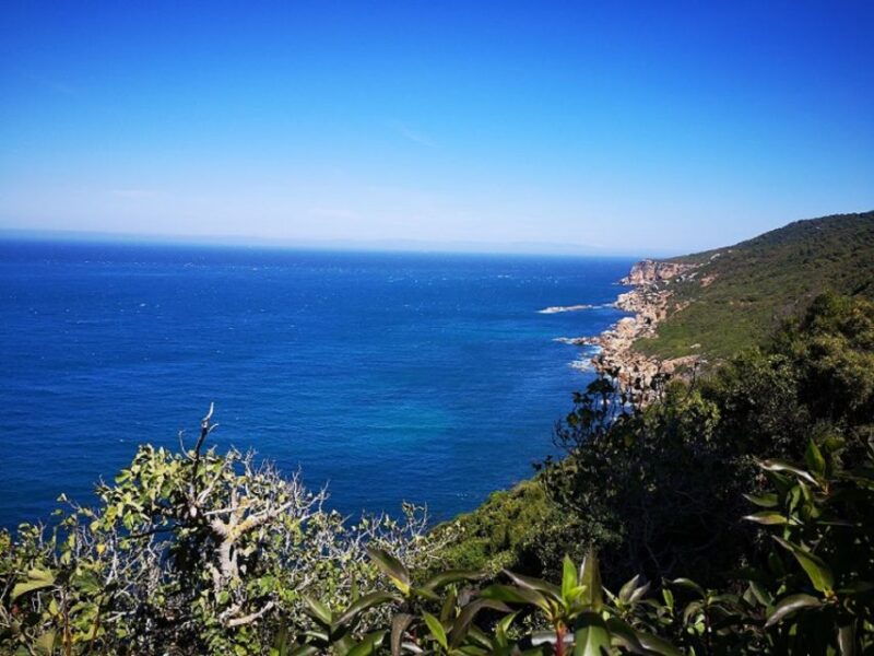 tangier-2-day-trip-from-tarifa