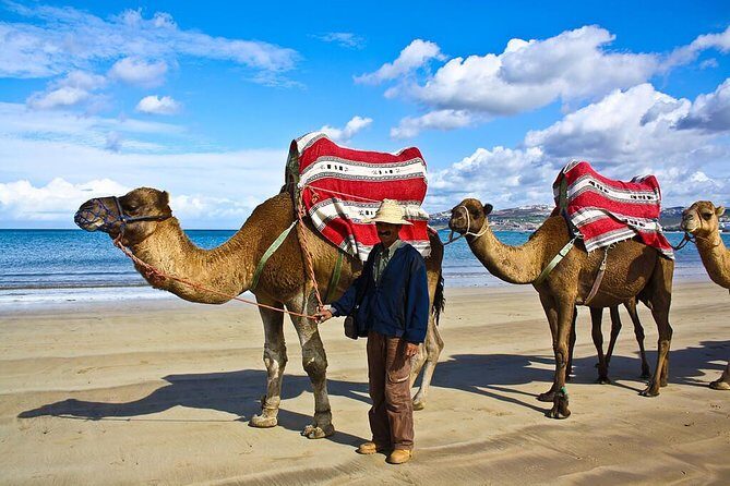 Tangier 3 Hours Sightseeing & Camel ride - Transportation & Group Size: Comfort and Intimacy
