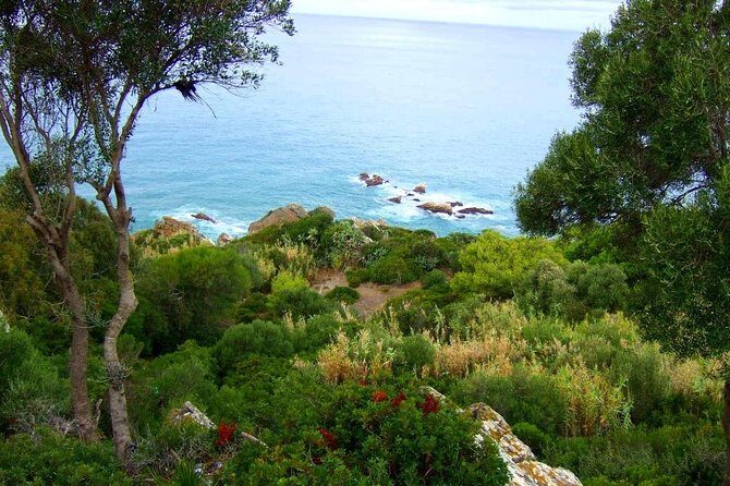 Tangier 3 Hours Sightseeing & Camel ride - Practical Considerations: What You Should Know