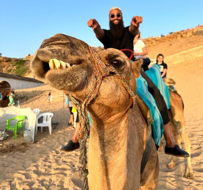 Tangier: Achakar Beach Sunset Camel Ride & Moroccan Dinner - An In-Depth Look at the Experience
